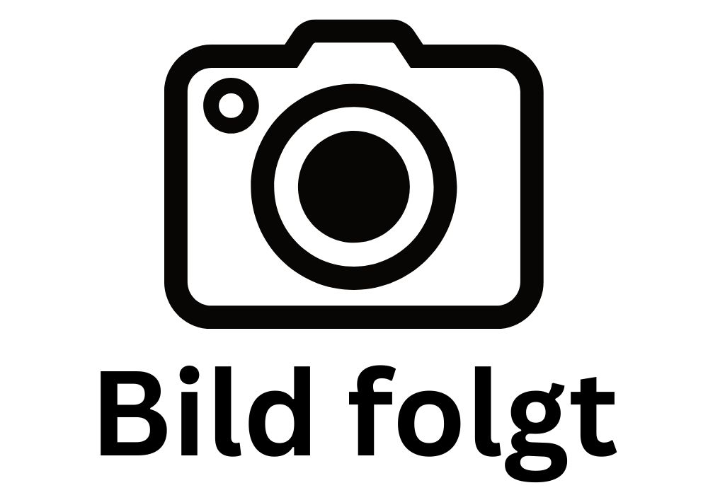 Platzhalterbild mit Kamera Icon und Text Bild folgt für Prote Adventure UTV